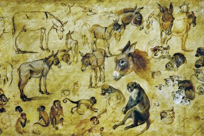 Figure drawings of animals