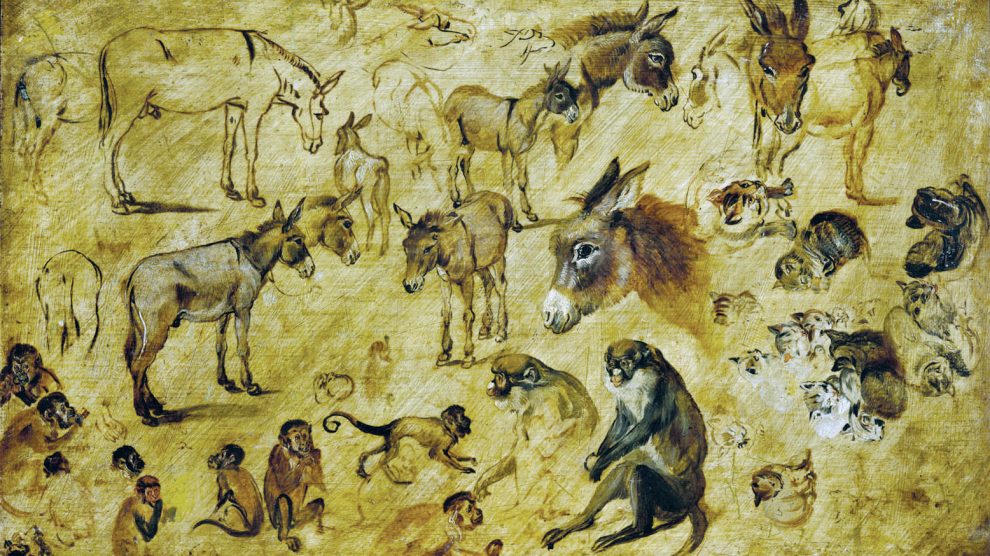 Figure drawings of animals