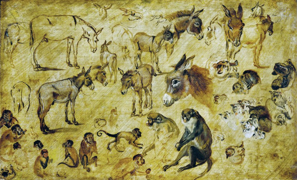 Figure drawings of animals