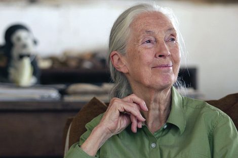 Jane Goodall