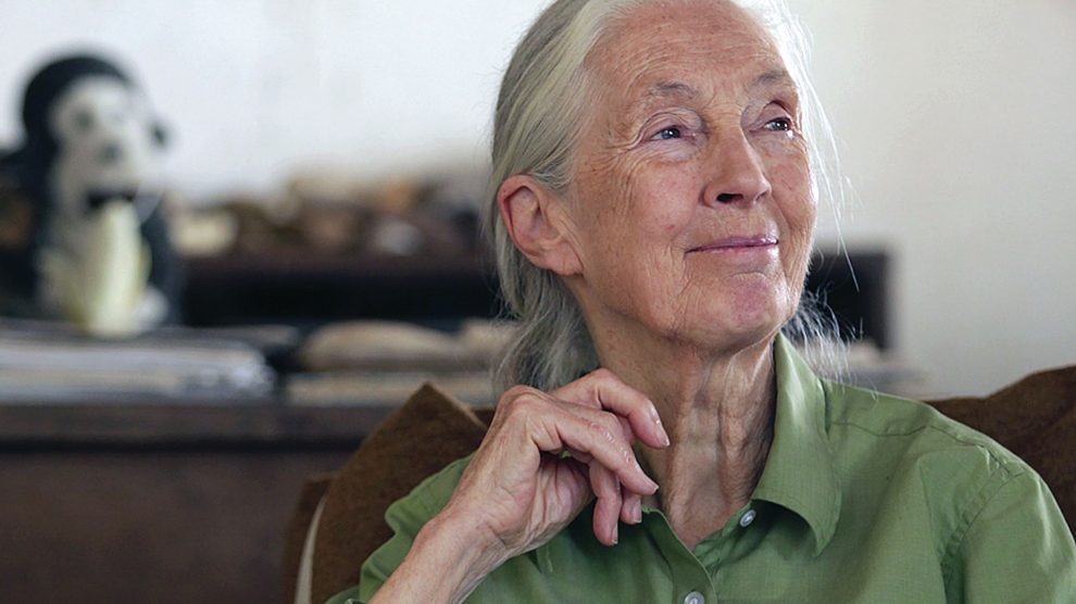 Jane Goodall
