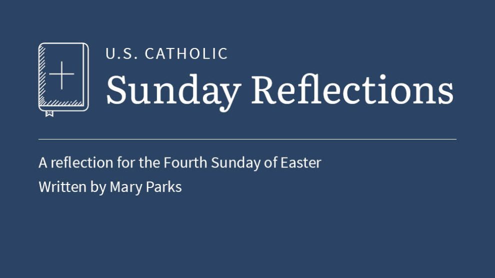 Mary Parks reflects on the readings for the fourth Sunday of Easter, 2026
