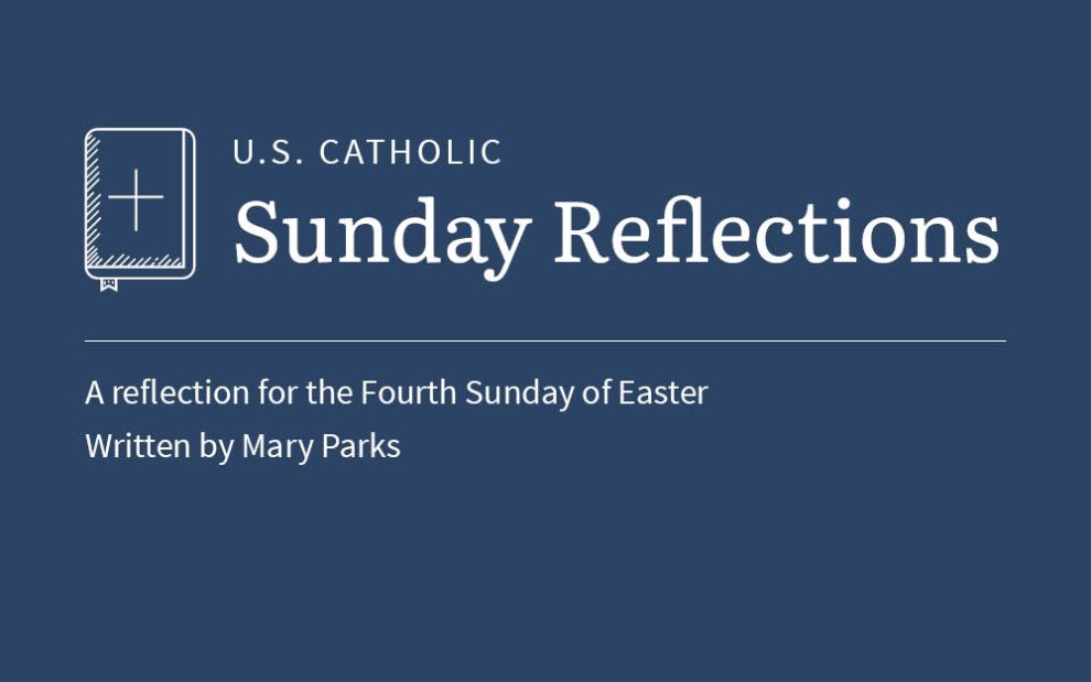 Mary Parks reflects on the readings for the fourth Sunday of Easter, 2026