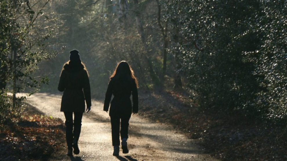 Two people walking down a path together