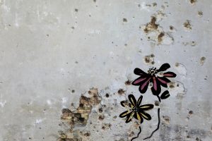 Flowers painted over bullet holes in a wall