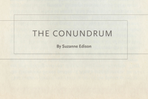 The Conundrum by Suzanne Edison