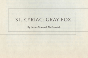 st. cyriac: gray fox poem