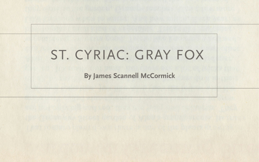 st. cyriac: gray fox poem