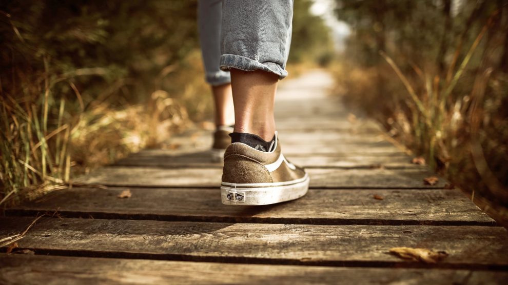 person walking on a wooden path