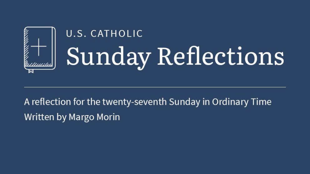 Margo Morin reflects on the readings for the twenty-seventh Sunday in Ordinary Time