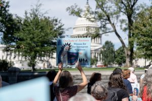 Dorothea Project rally in Washington DC