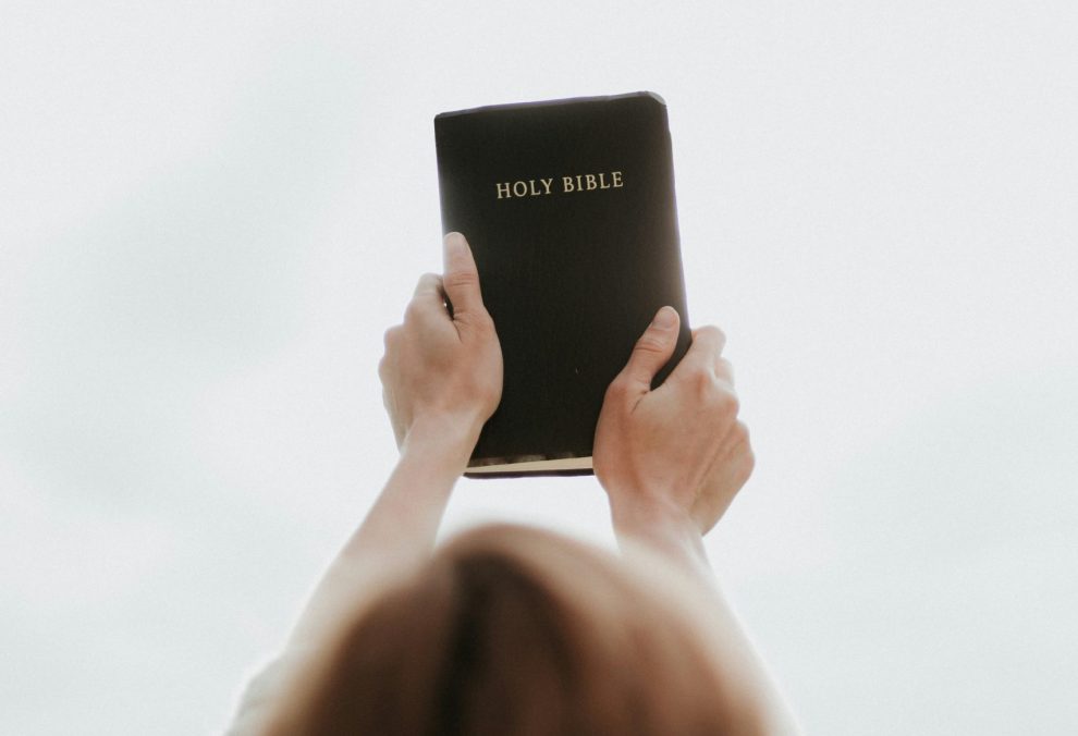 person holding up a bible