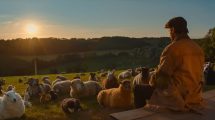 Still from The Sheep Detectives