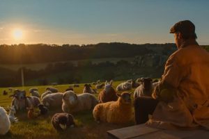 Still from The Sheep Detectives