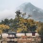 u-s-catholic-seoul-nature-photo