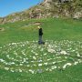 Man walks a labyrinth made out of stones