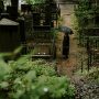 Person standing in a cemetery