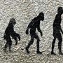 theory-of-evolution